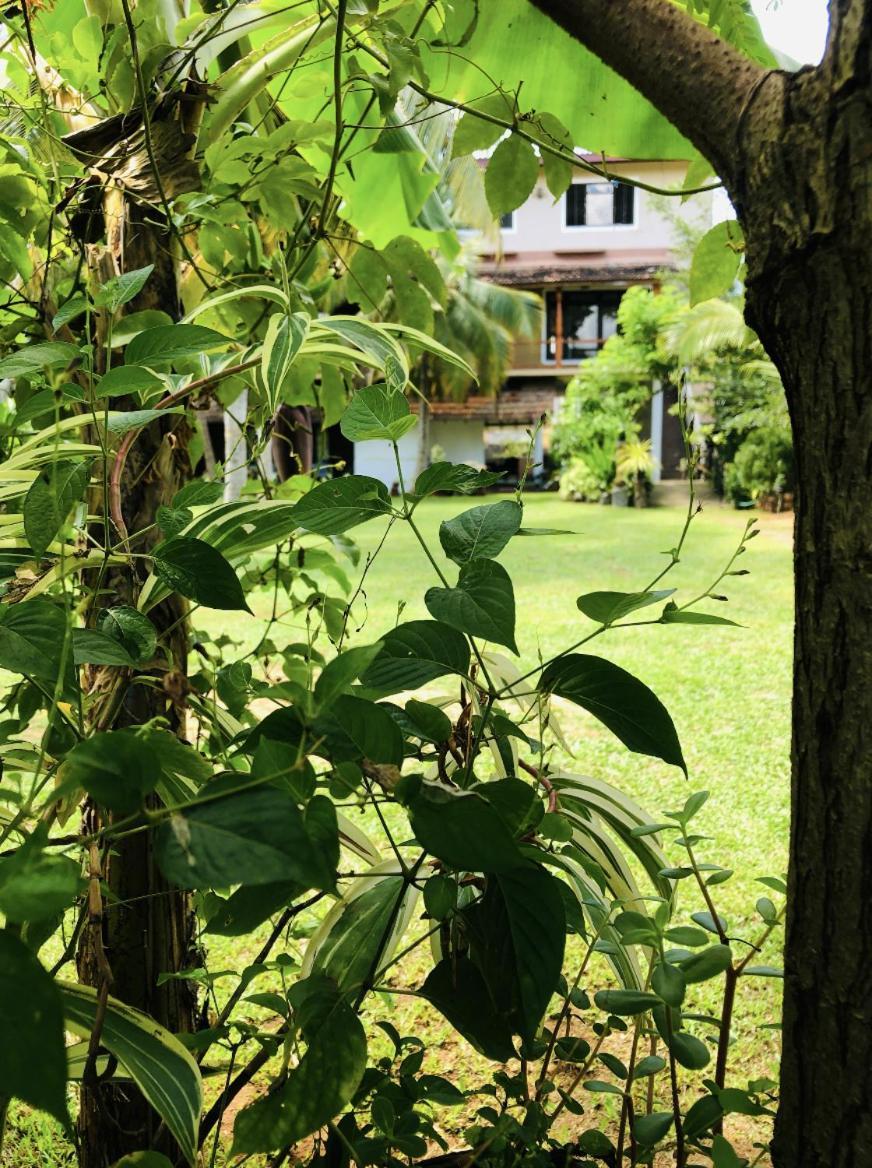 Candle House Kalutara Eksteriør bilde